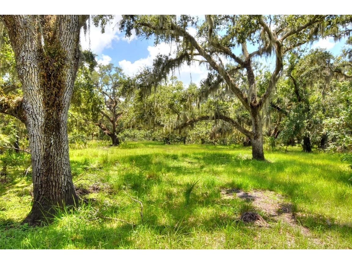 6838 Mary Lou Drive Riverview FL 33578 TB8421427 image24