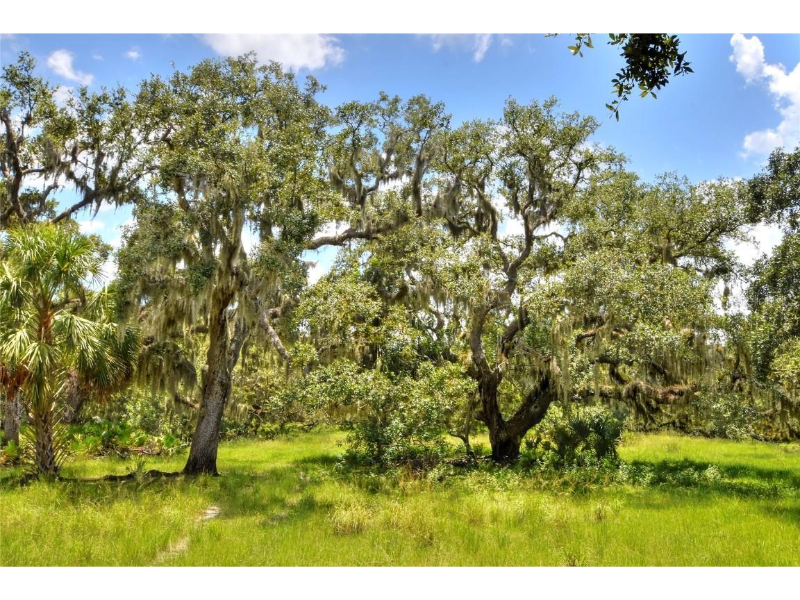 6838 Mary Lou Drive Riverview FL 33578 TB8421427 image25