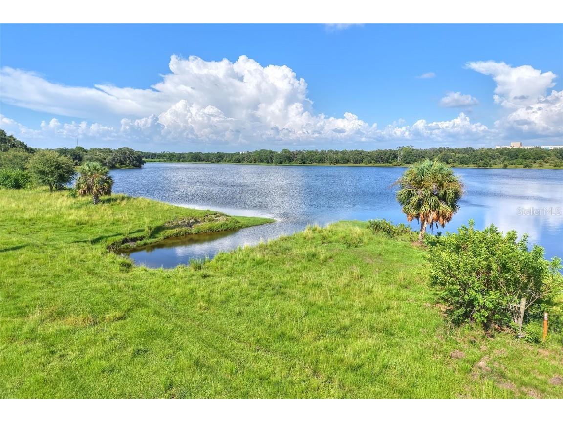 6838 Mary Lou Drive Riverview FL 33578 TB8421427 image4