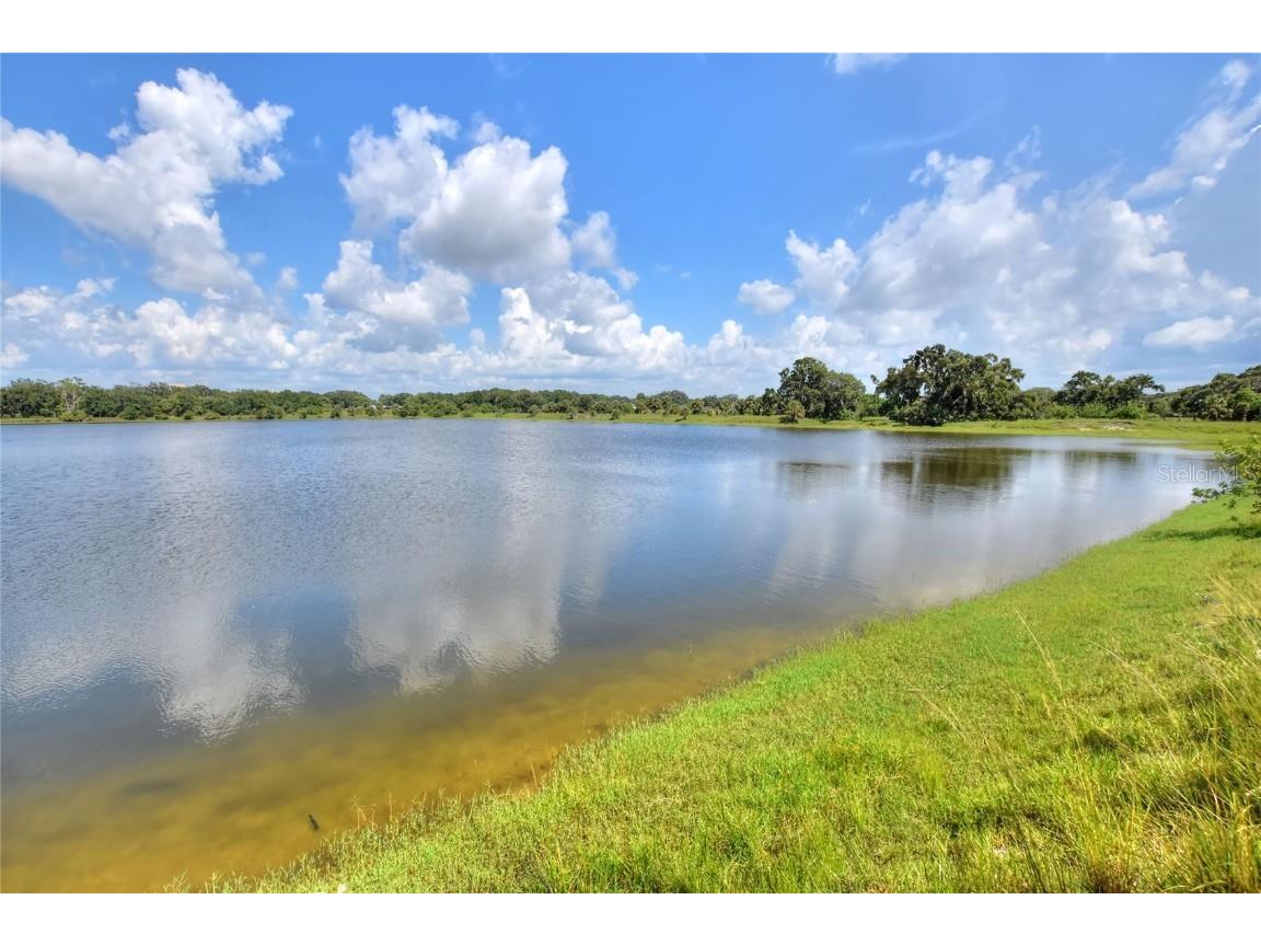 6838 Mary Lou Drive Riverview FL 33578 TB8421427 image5