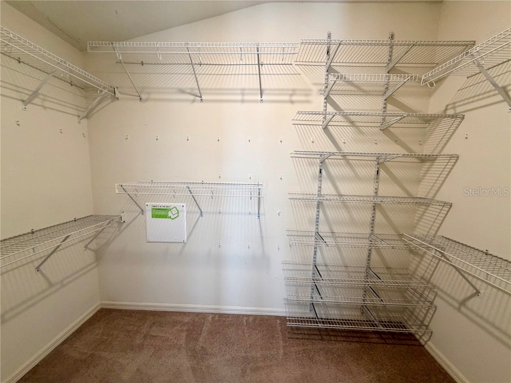 6838 Runner Oak Drive Wesley Chapel FL 33545 TB8450017 image20