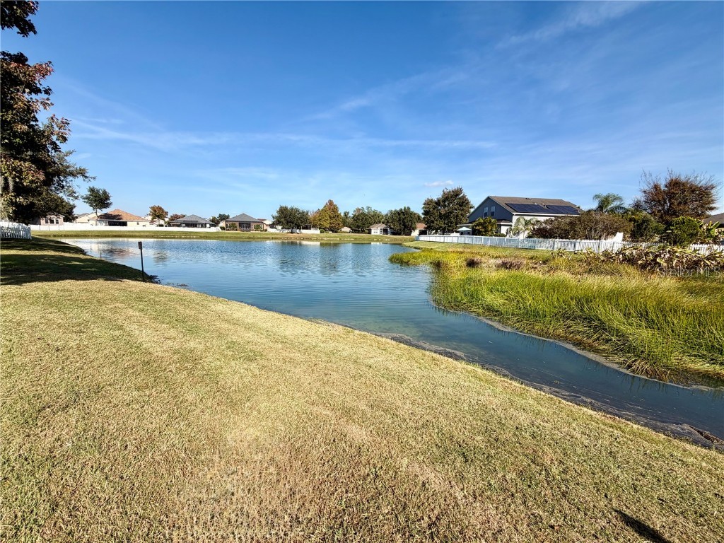 6838 Runner Oak Drive Wesley Chapel FL 33545 TB8450017 image30