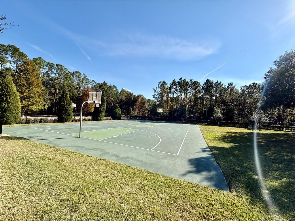 6838 Runner Oak Drive Wesley Chapel FL 33545 TB8450017 image31