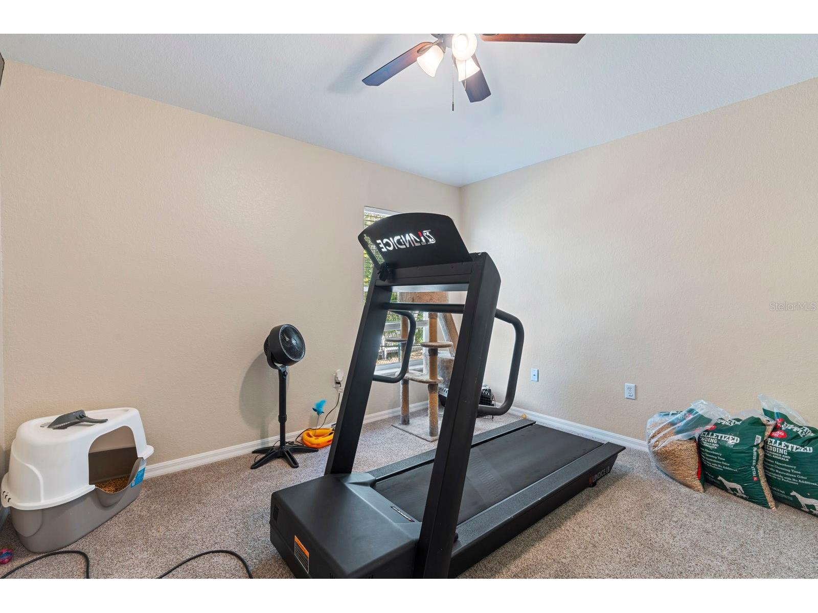 6838 Shimmering Drive Lakeland FL 33813 - Clark Lake TB8467880 image18