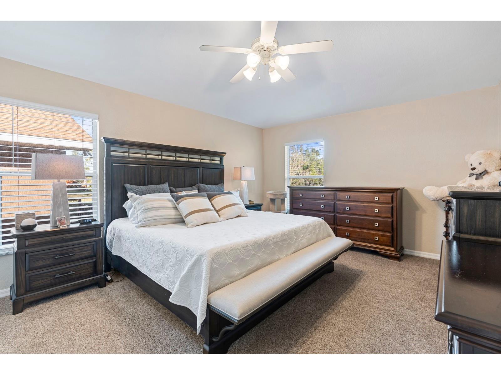 6838 Shimmering Drive Lakeland FL 33813 - Clark Lake TB8467880 image20