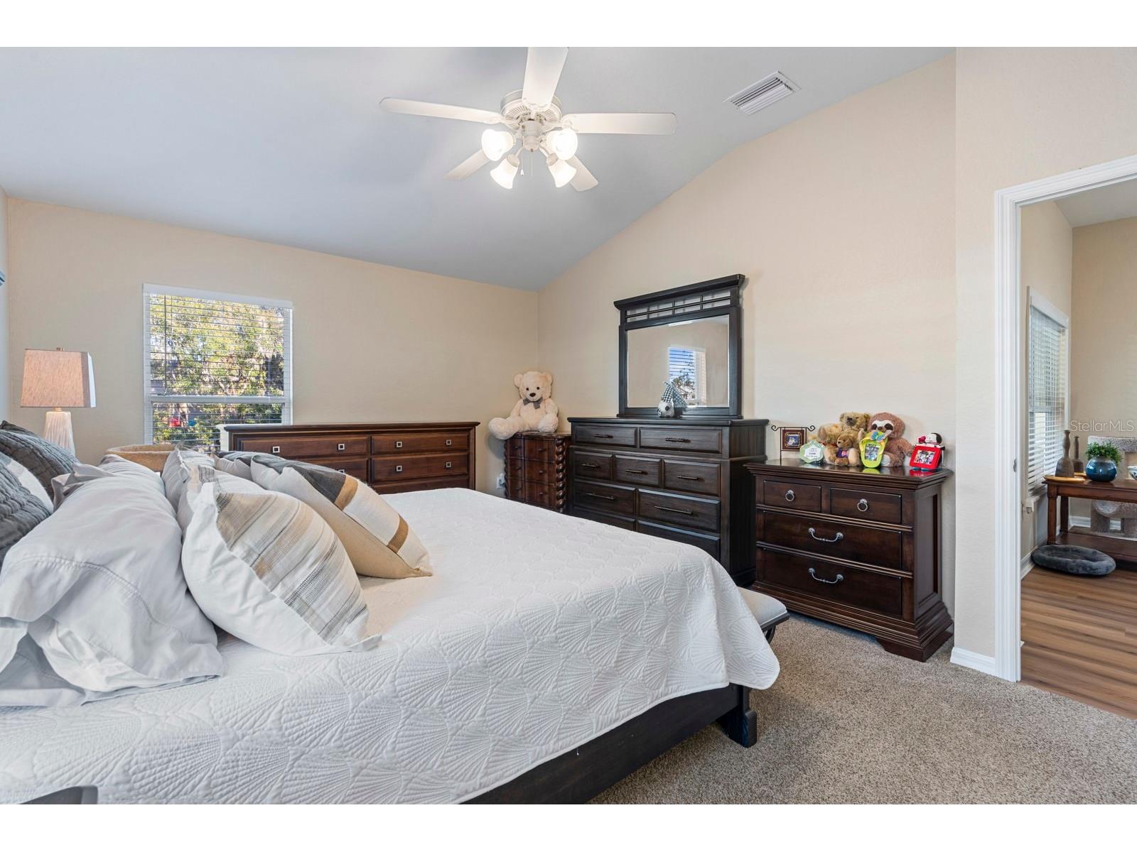 6838 Shimmering Drive Lakeland FL 33813 - Clark Lake TB8467880 image22