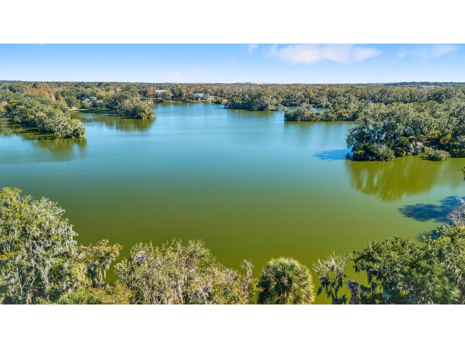 6838 Shimmering Drive Lakeland FL 33813 - Clark Lake TB8467880 image62