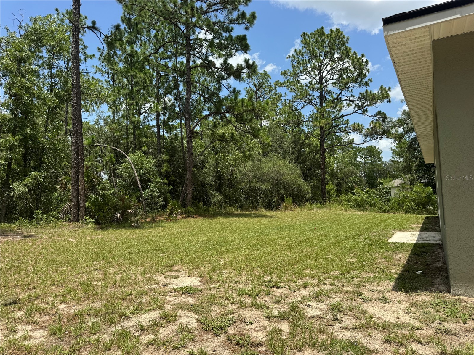 6839 SW 149th Lane Road Ocala FL 34473 O6424703 image25
