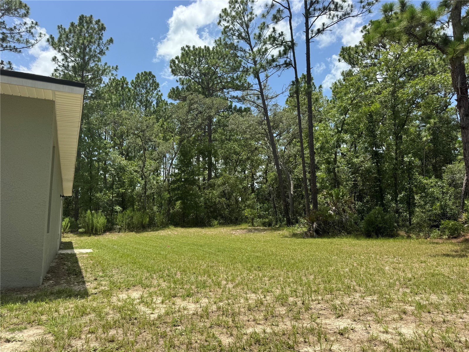 6839 SW 149th Lane Road Ocala FL 34473 O6424703 image26