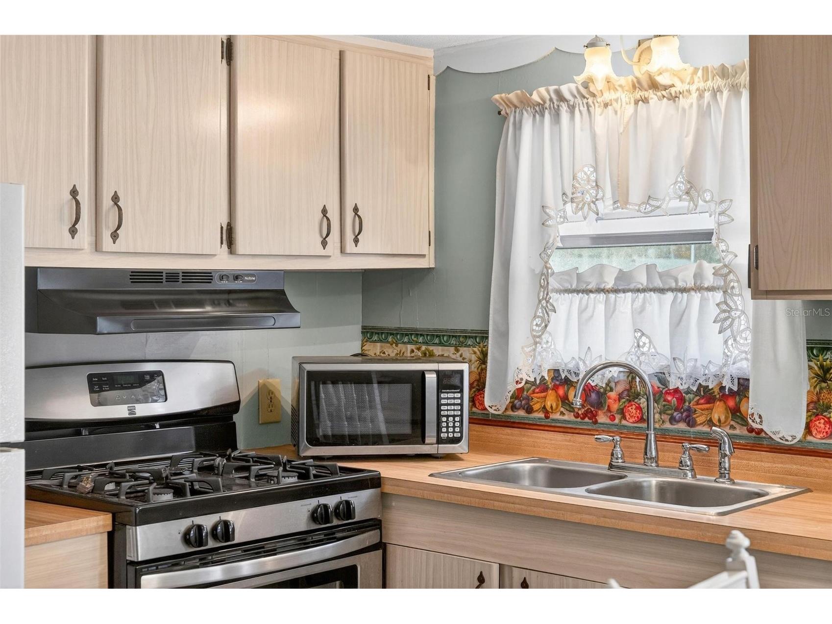 684 Cindi Avenue Leesburg FL 34788 V4946373 image11