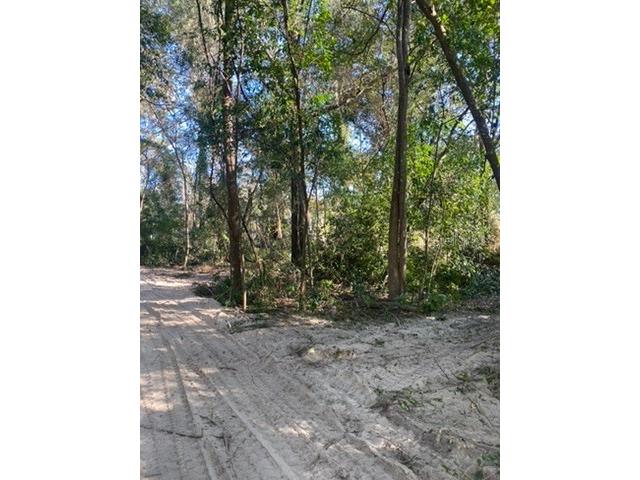 684 SE Murphy Place Lake City FL 32025 TB8479218 image19