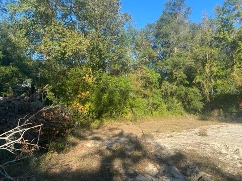 684 SE Murphy Place Lake City FL 32025 TB8479218 image23