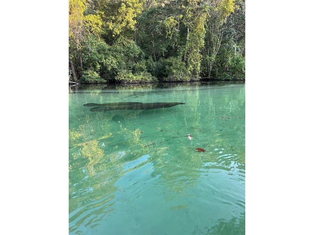 6841 E Richard Drive Weeki Wachee FL 34607 W7857910 image1