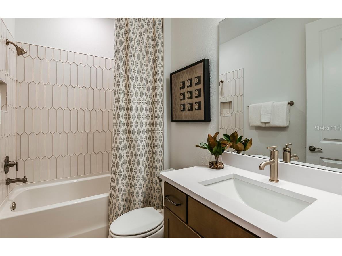 6841 Jared Oaks Drive Wesley Chapel FL 33545 TB8434435 image25