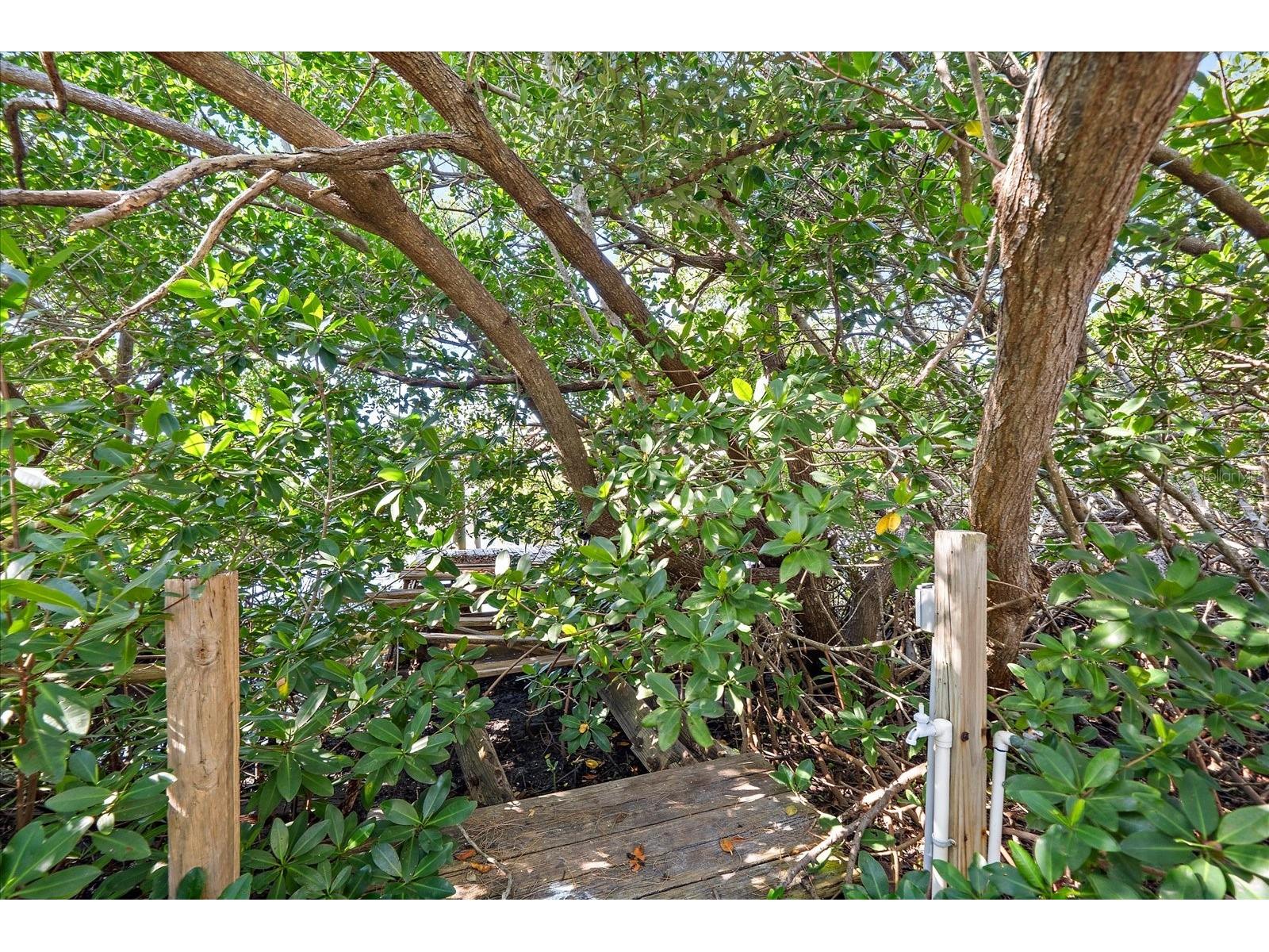 6841 Longboat Drive S Longboat Key FL 34228 - BISHOPS BAYOU A4681680 image19