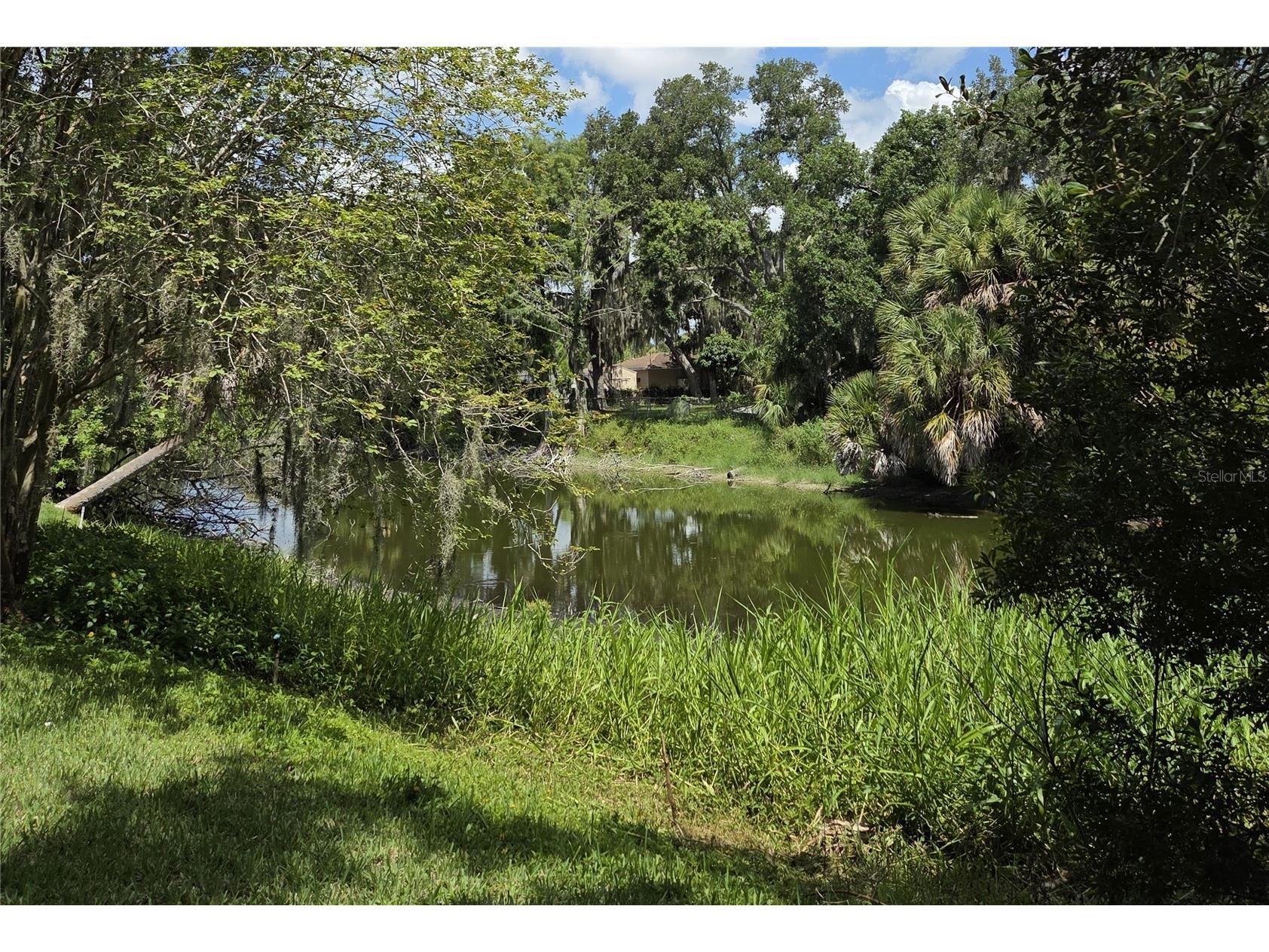 6841 Porter Road Sarasota FL 34240 A4698980 image41