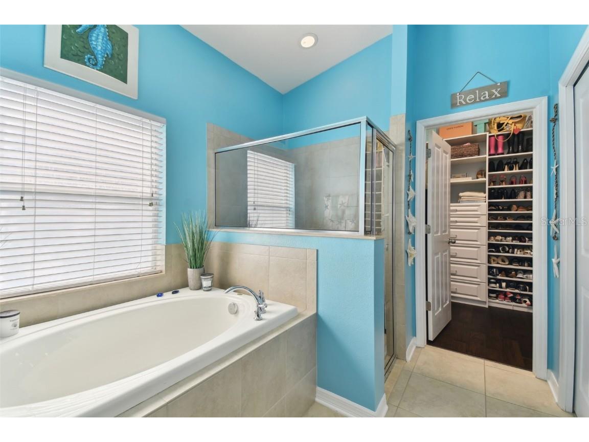 6843 Boulder Run Loop Wesley Chapel FL 33545 TB8438803 image36