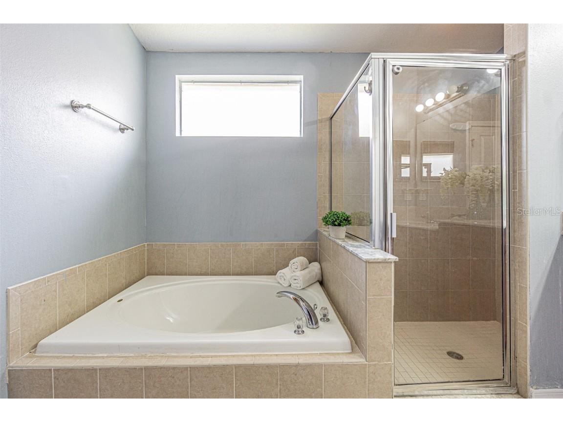 6843 Runner Oak Drive Wesley Chapel FL 33545 TB8415363 image13