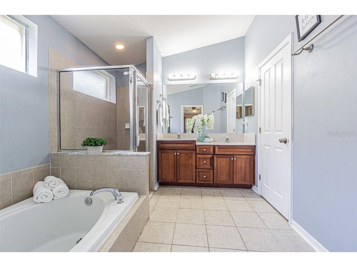 6843 Runner Oak Drive Wesley Chapel FL 33545 TB8415363 image14