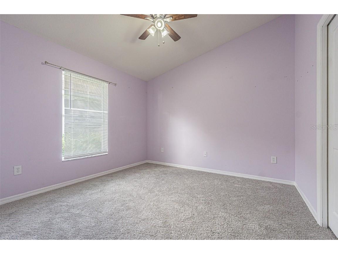 6843 Runner Oak Drive Wesley Chapel FL 33545 TB8415363 image15