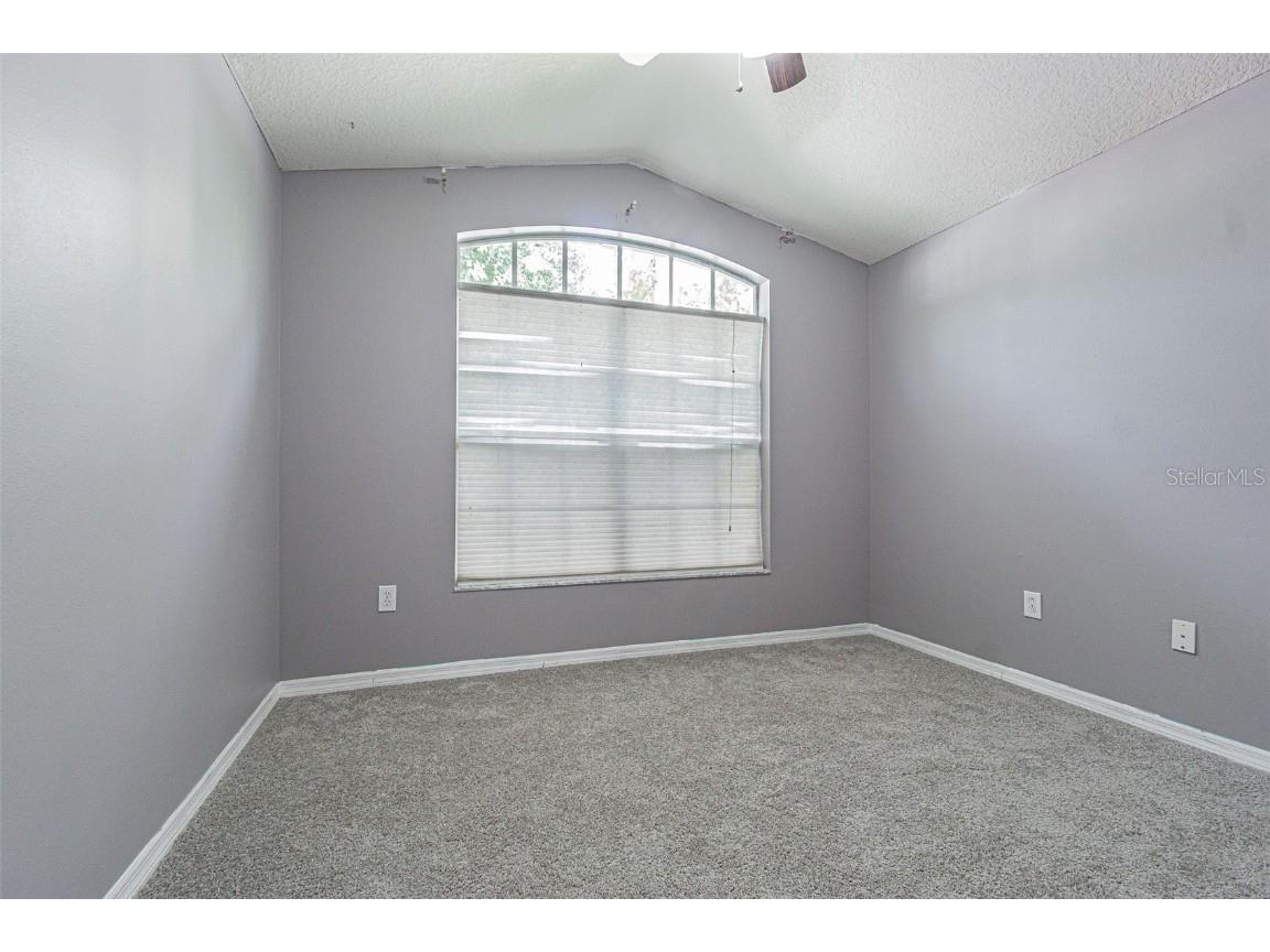 6843 Runner Oak Drive Wesley Chapel FL 33545 TB8415363 image17