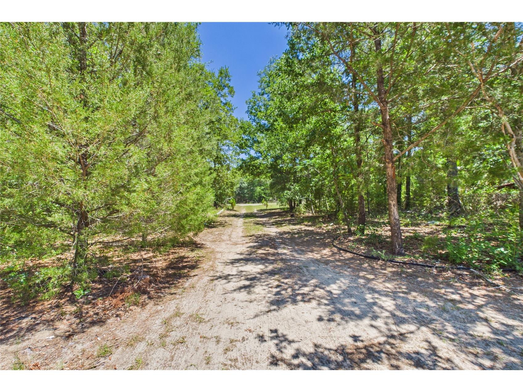 6844 S Irma Point Lecanto FL 34461 O6408880 image64