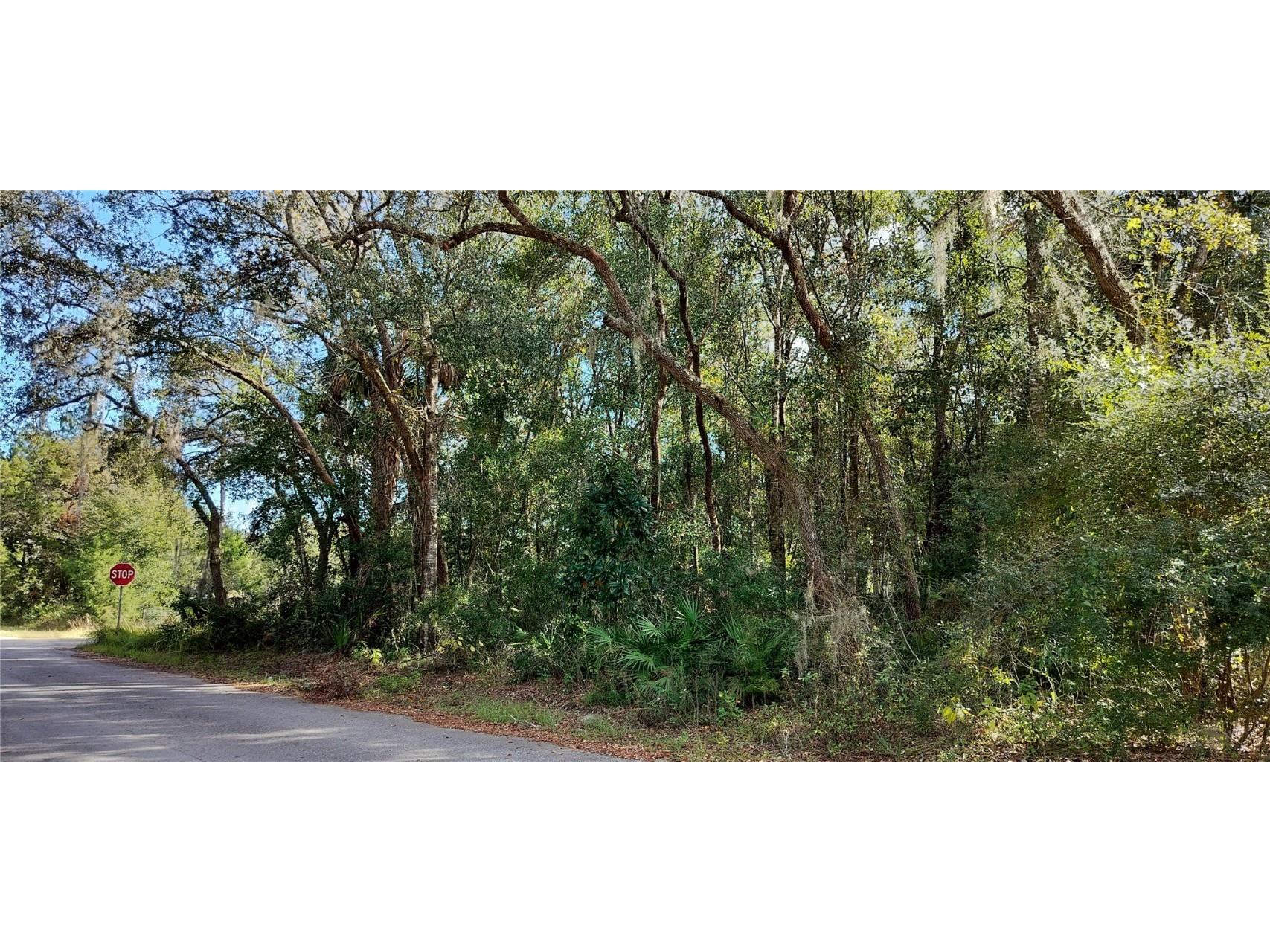 6844 W Grant Street Homosassa FL 34448 TB8330439 image1