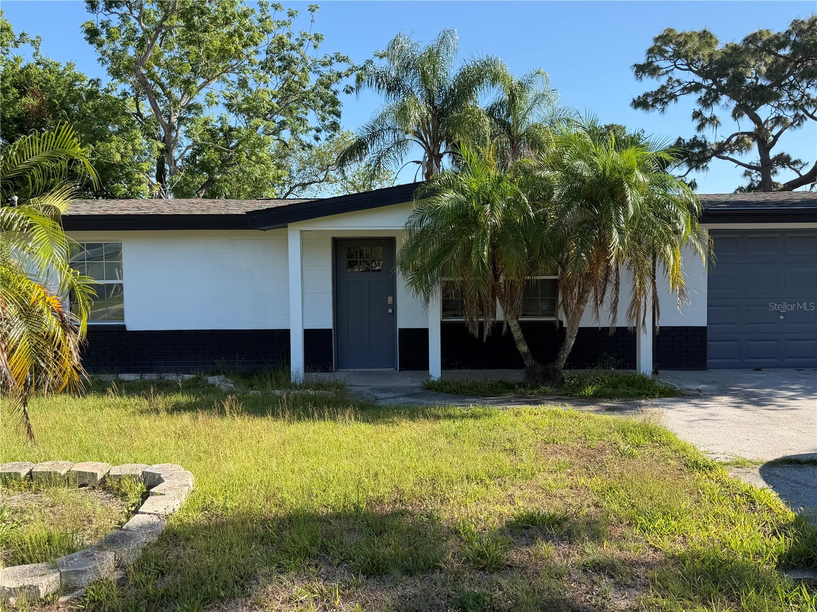 6845 Carob Drive New Port Richey FL 34653 TB8509246 image2