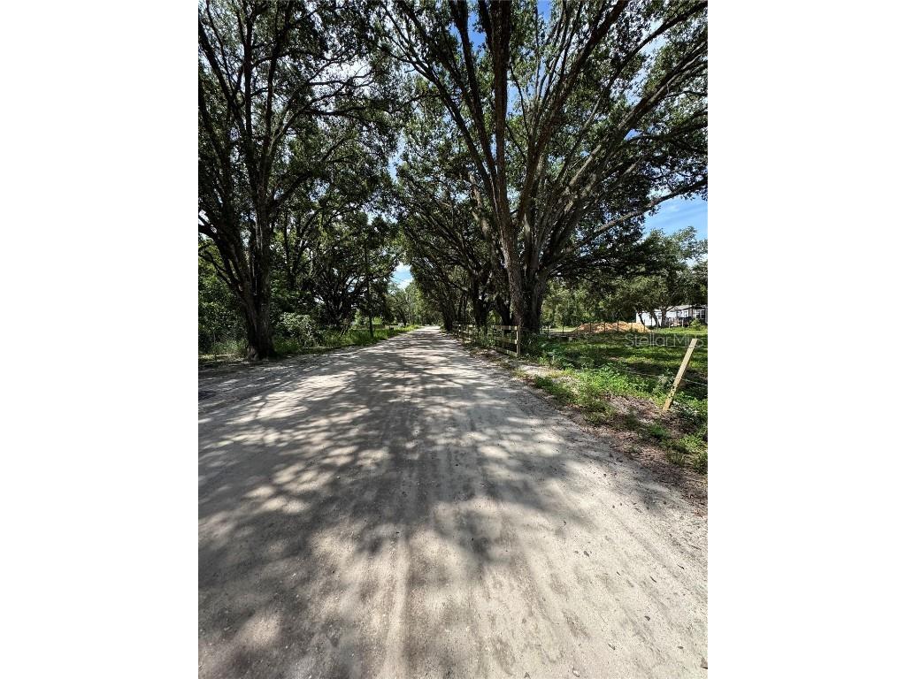 6845 Lumberton Road Zephyrhills FL 33540 TB8398463 image6