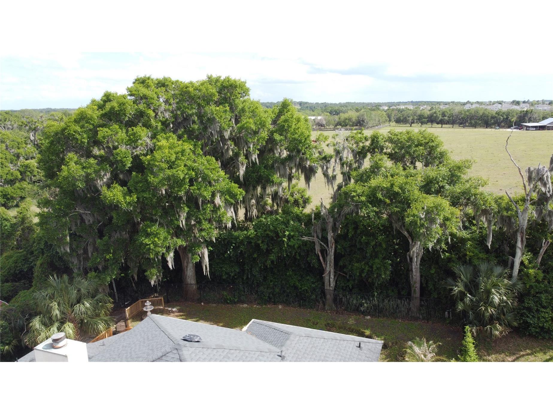 6846 Lake View Drive Yalaha FL 34797 - LAKE HARRIS S5147490 image10