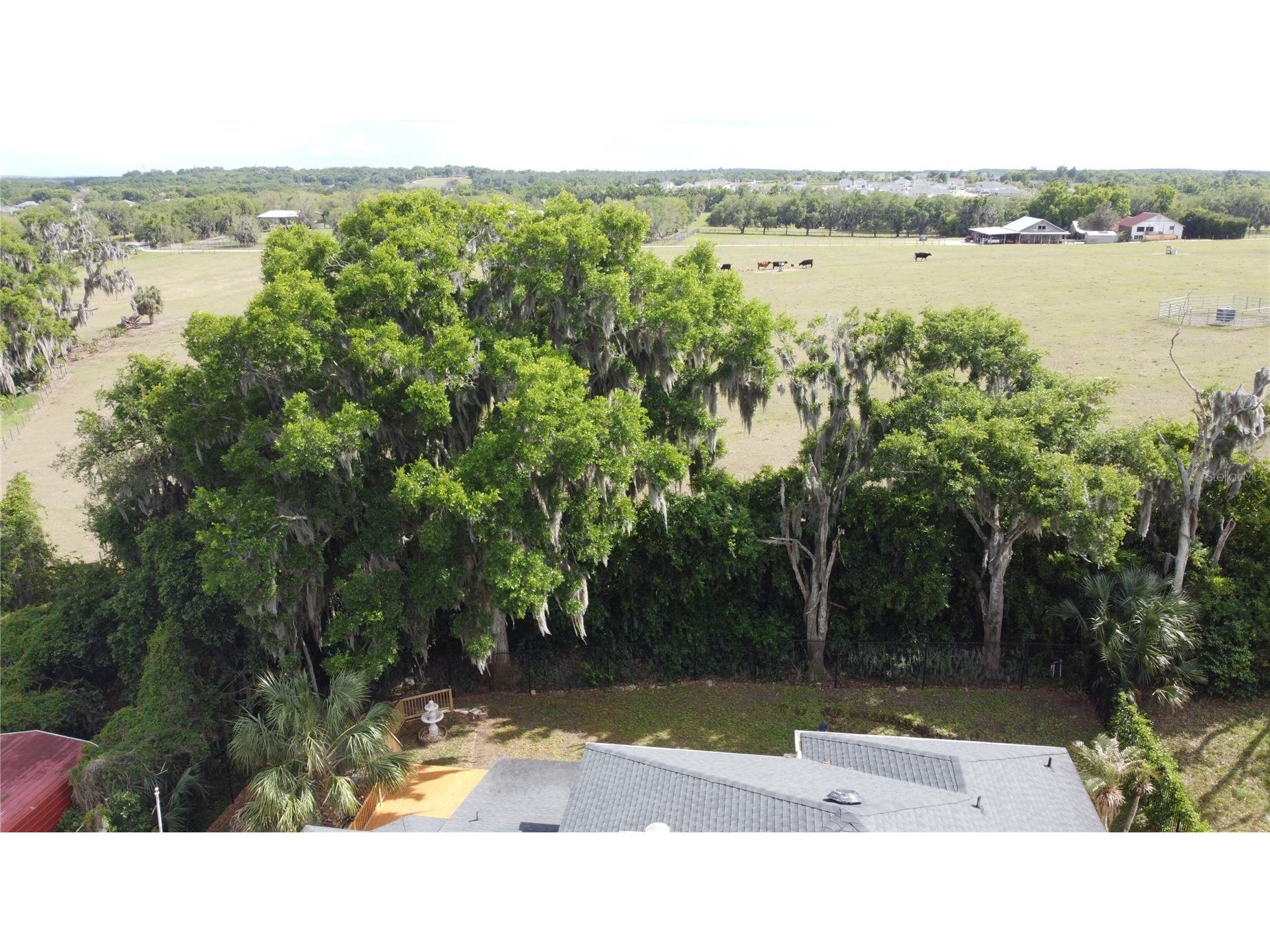6846 Lake View Drive Yalaha FL 34797 - LAKE HARRIS S5147490 image85