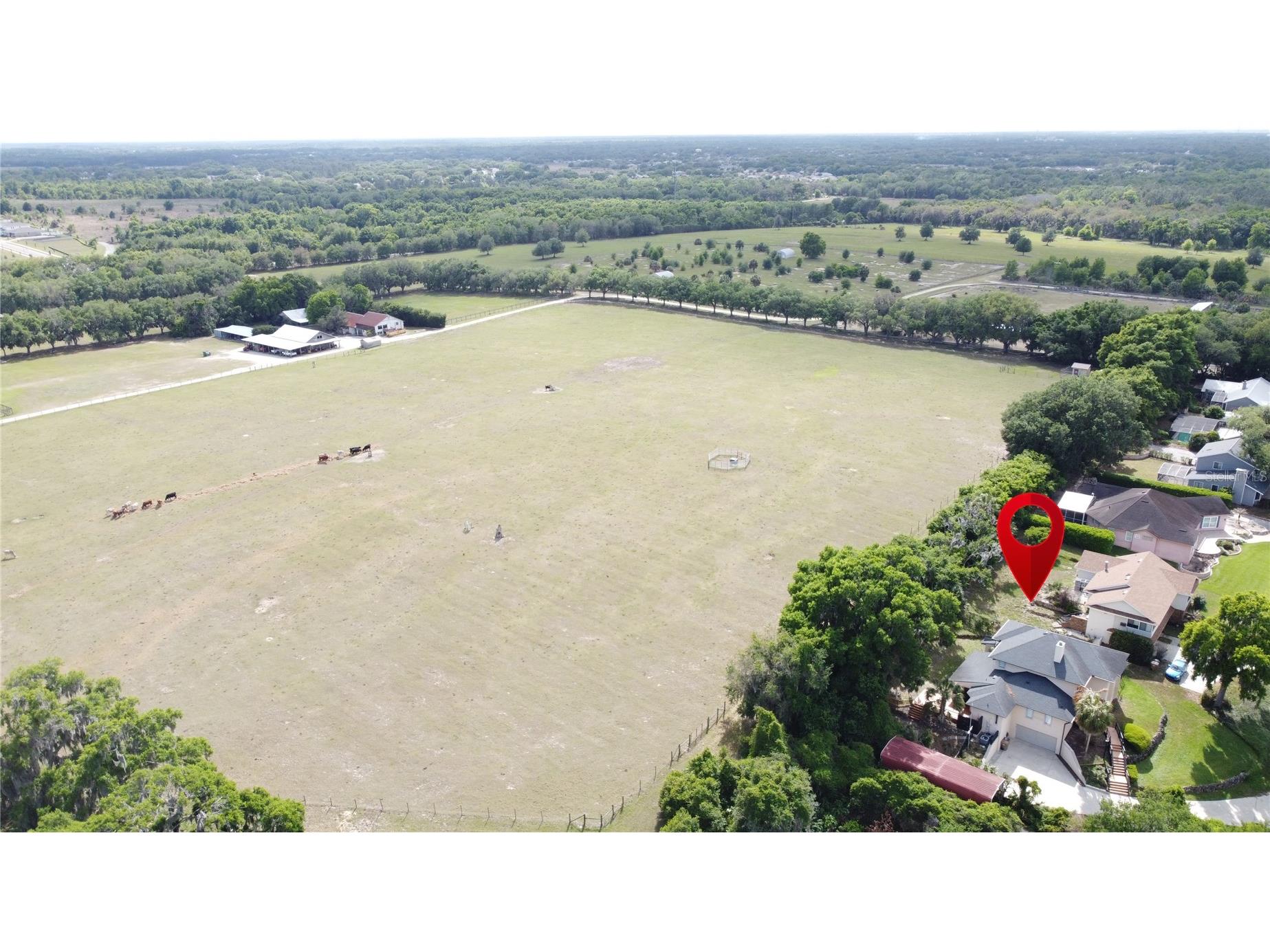 6846 Lake View Drive Yalaha FL 34797 - LAKE HARRIS S5147490 image91