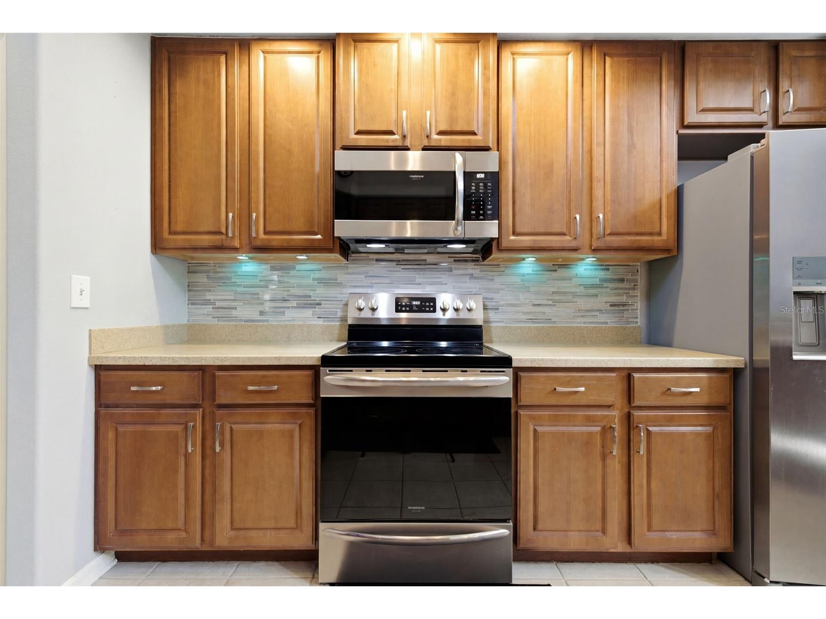 6846 Pine Springs Wesley Chapel FL 33545 TB8525626 image15