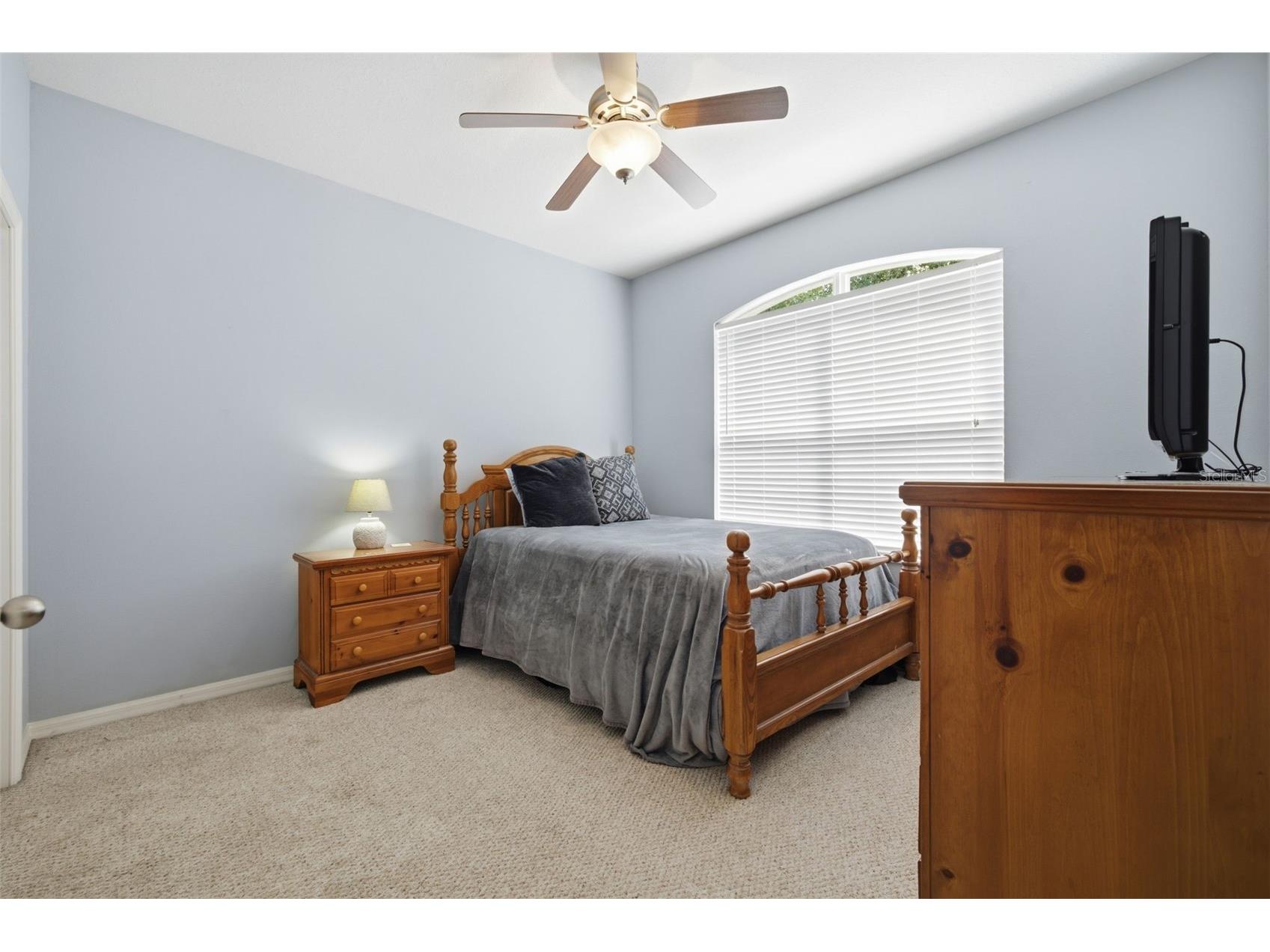 6846 Pine Springs Wesley Chapel FL 33545 TB8525626 image32