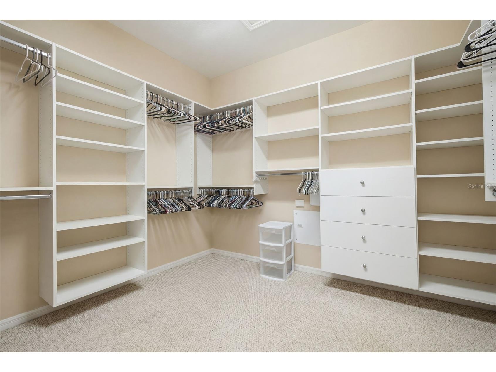 6846 Pine Springs Wesley Chapel FL 33545 TB8525626 image36