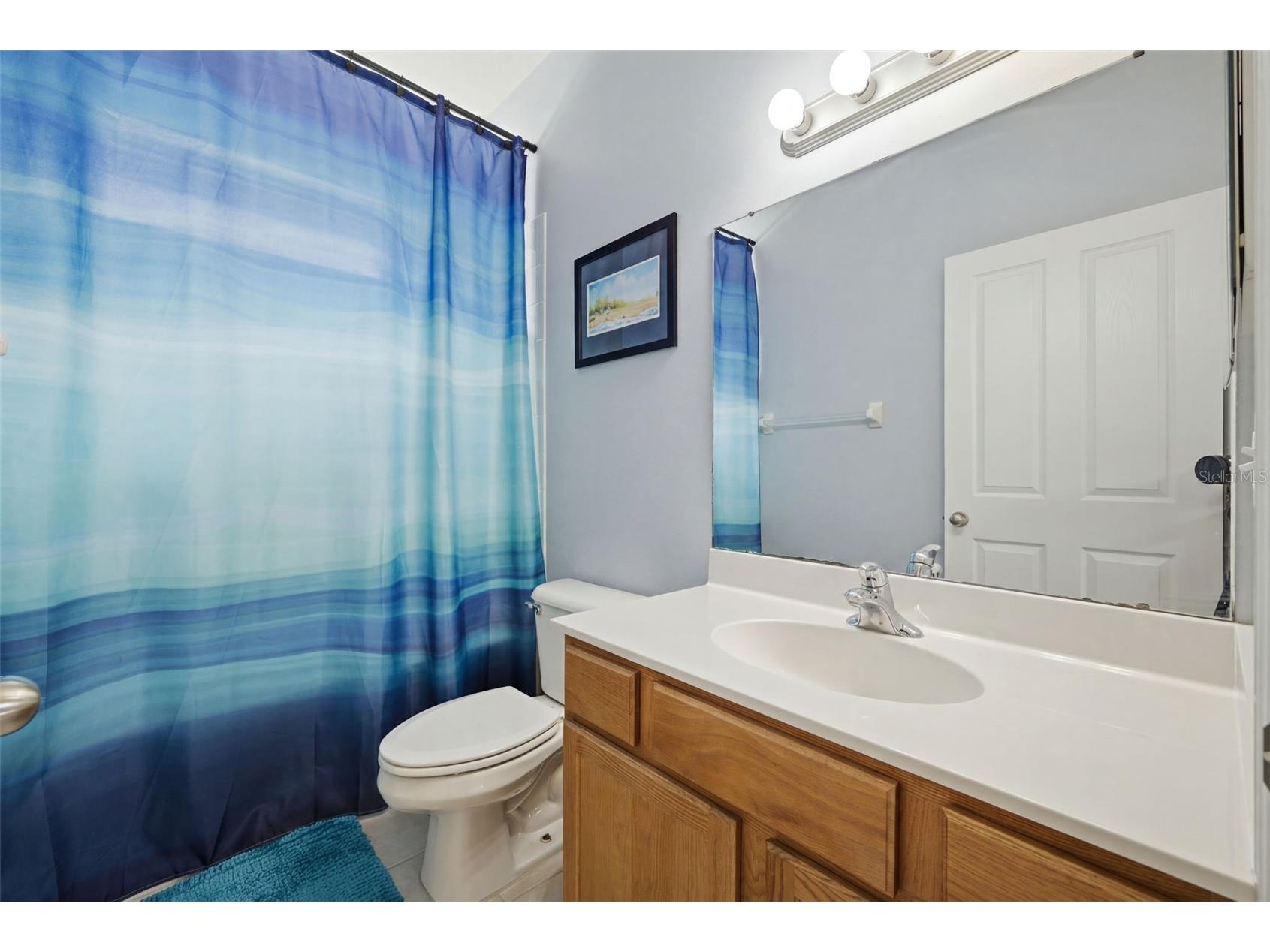 6846 Pine Springs Wesley Chapel FL 33545 TB8525626 image38