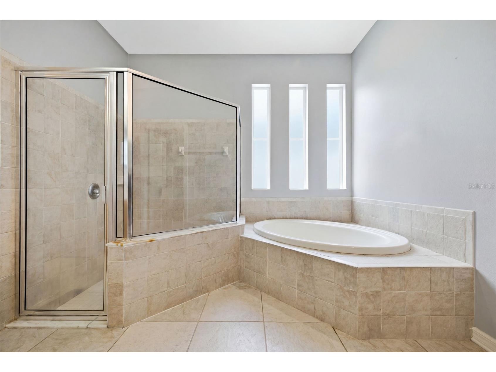 6846 Pine Springs Wesley Chapel FL 33545 TB8525626 image42