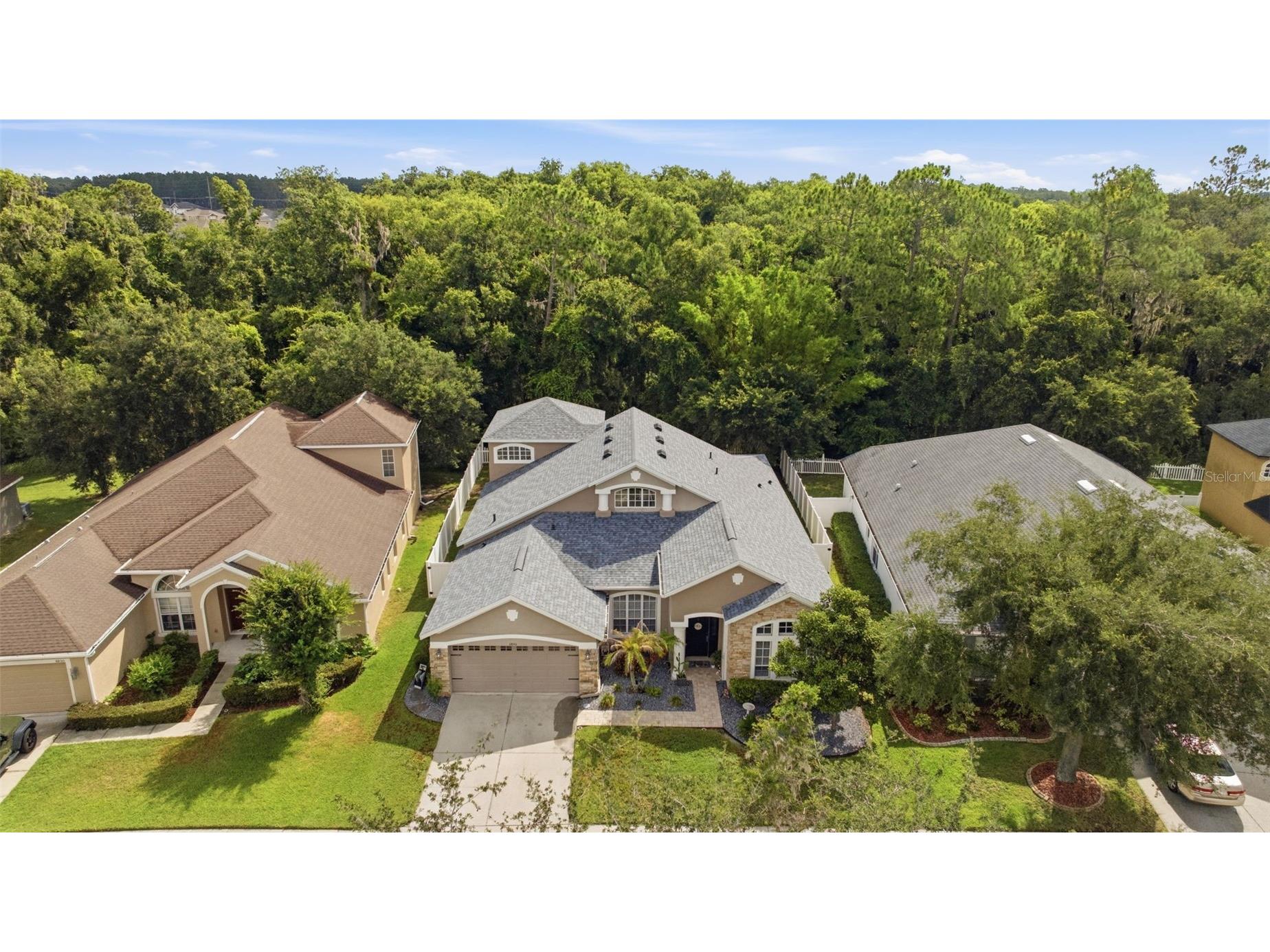 6846 Pine Springs Wesley Chapel FL 33545 TB8525626 image50