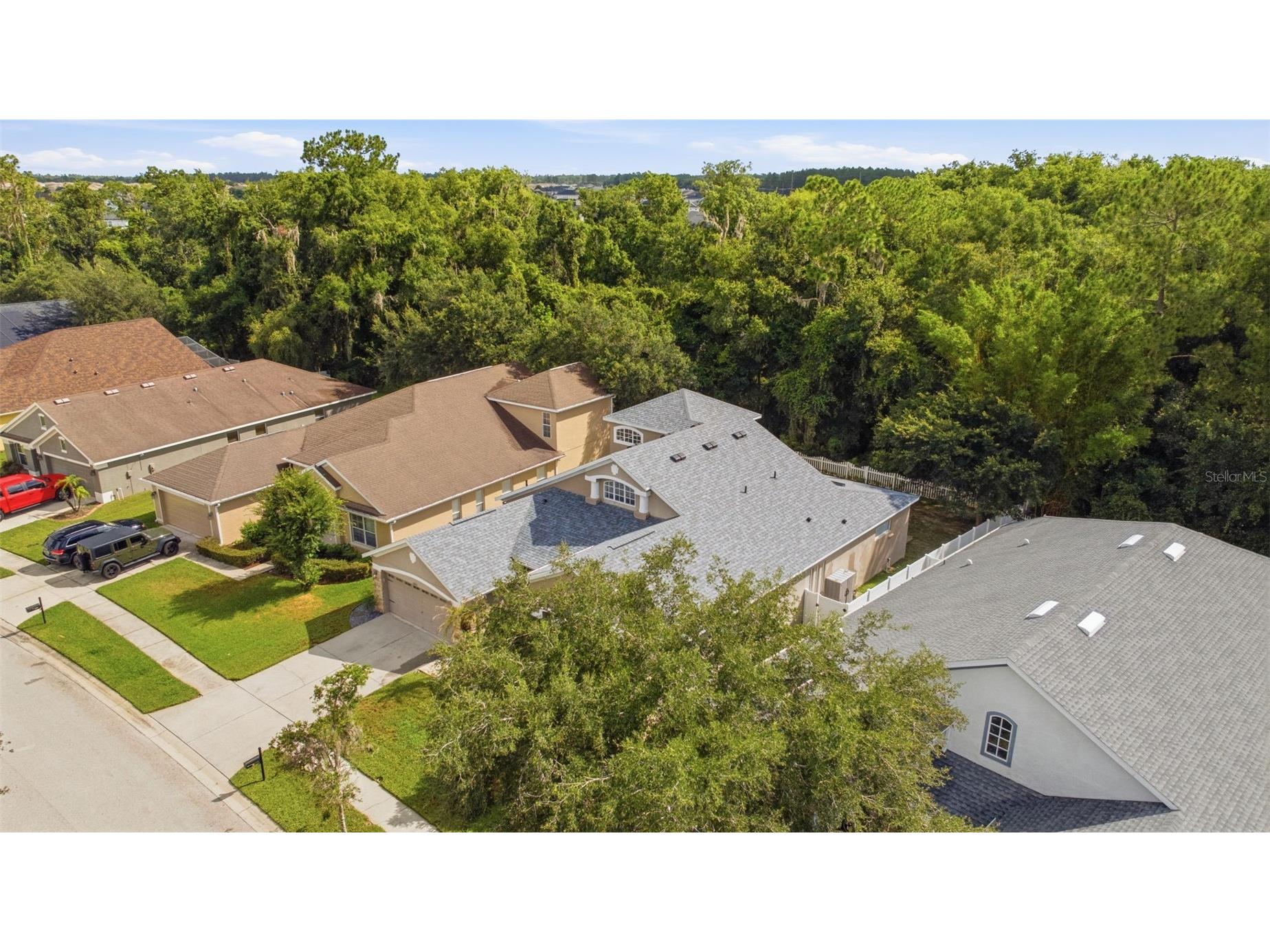 6846 Pine Springs Wesley Chapel FL 33545 TB8525626 image51
