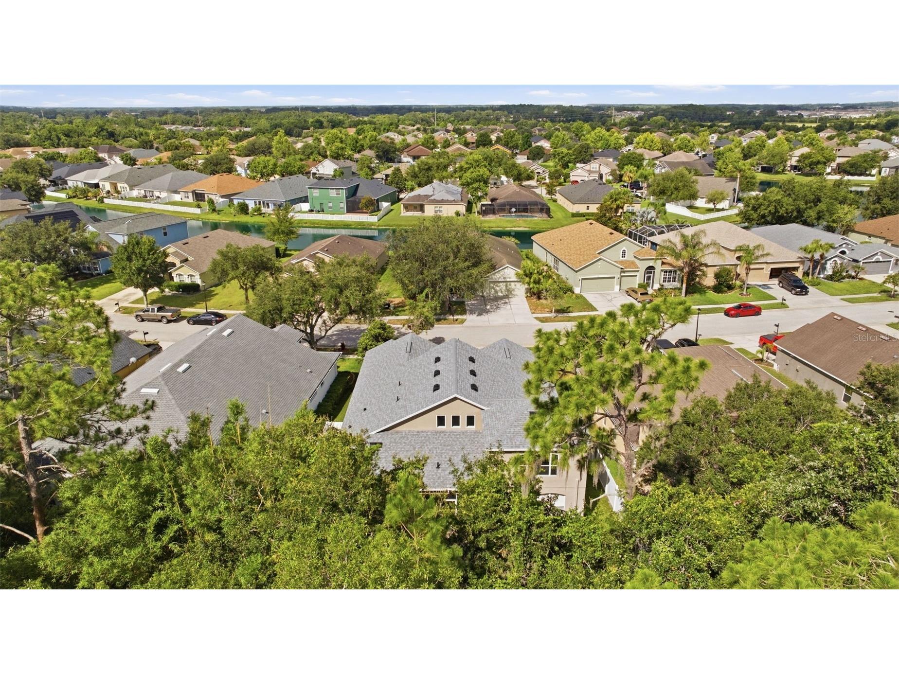 6846 Pine Springs Wesley Chapel FL 33545 TB8525626 image53