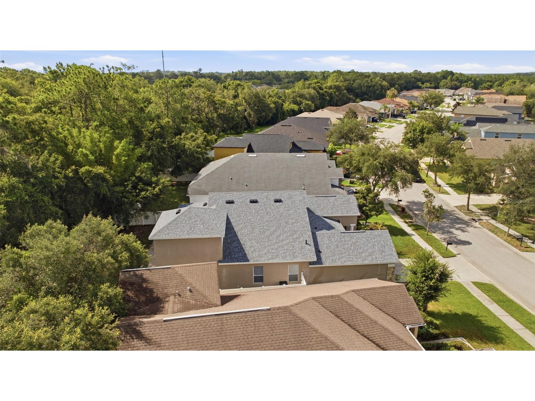 6846 Pine Springs Wesley Chapel FL 33545 TB8525626 image55