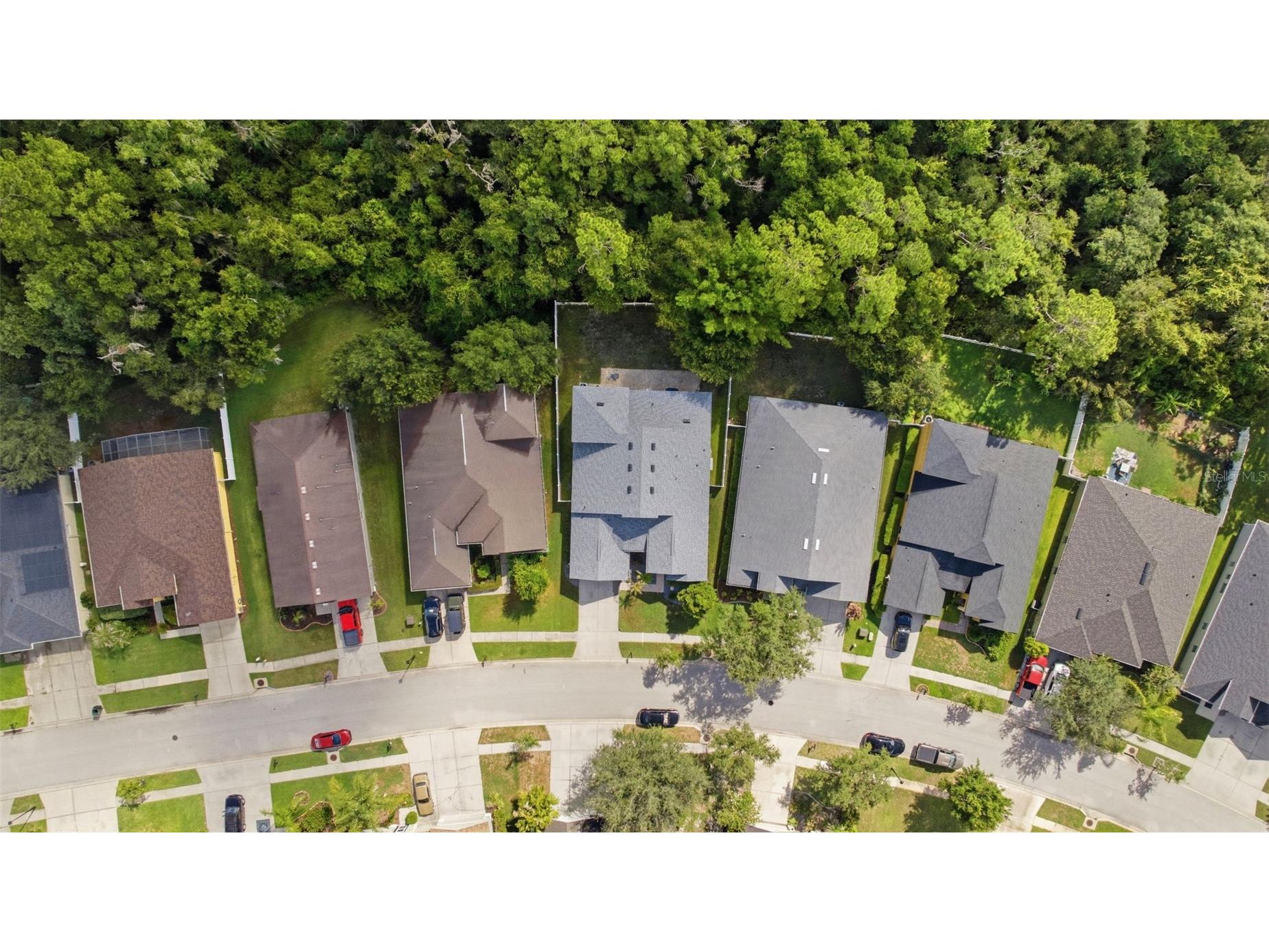 6846 Pine Springs Wesley Chapel FL 33545 TB8525626 image58