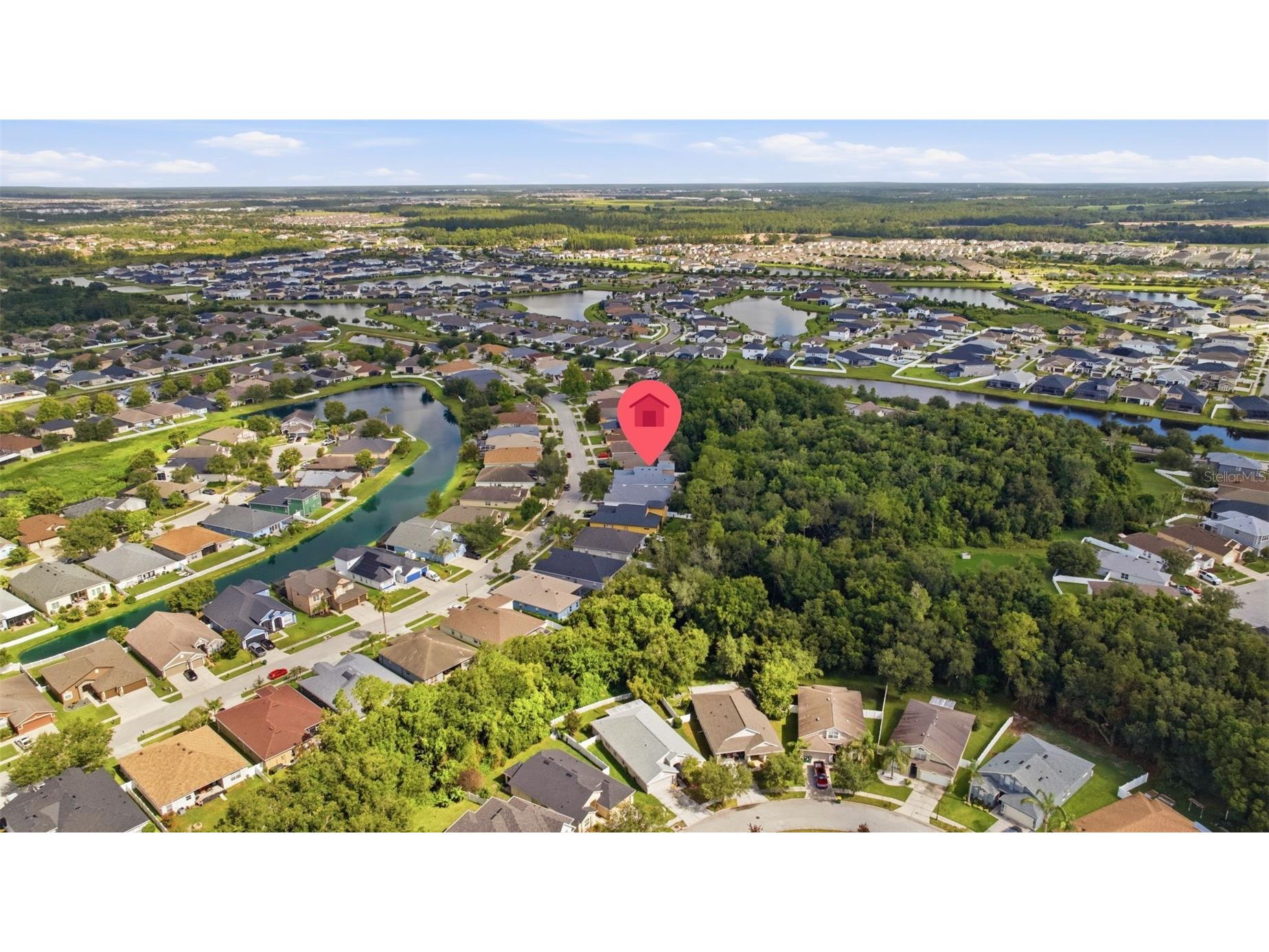 6846 Pine Springs Wesley Chapel FL 33545 TB8525626 image60