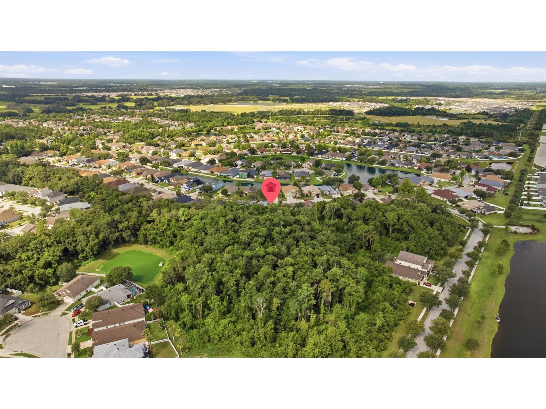 6846 Pine Springs Wesley Chapel FL 33545 TB8525626 image62