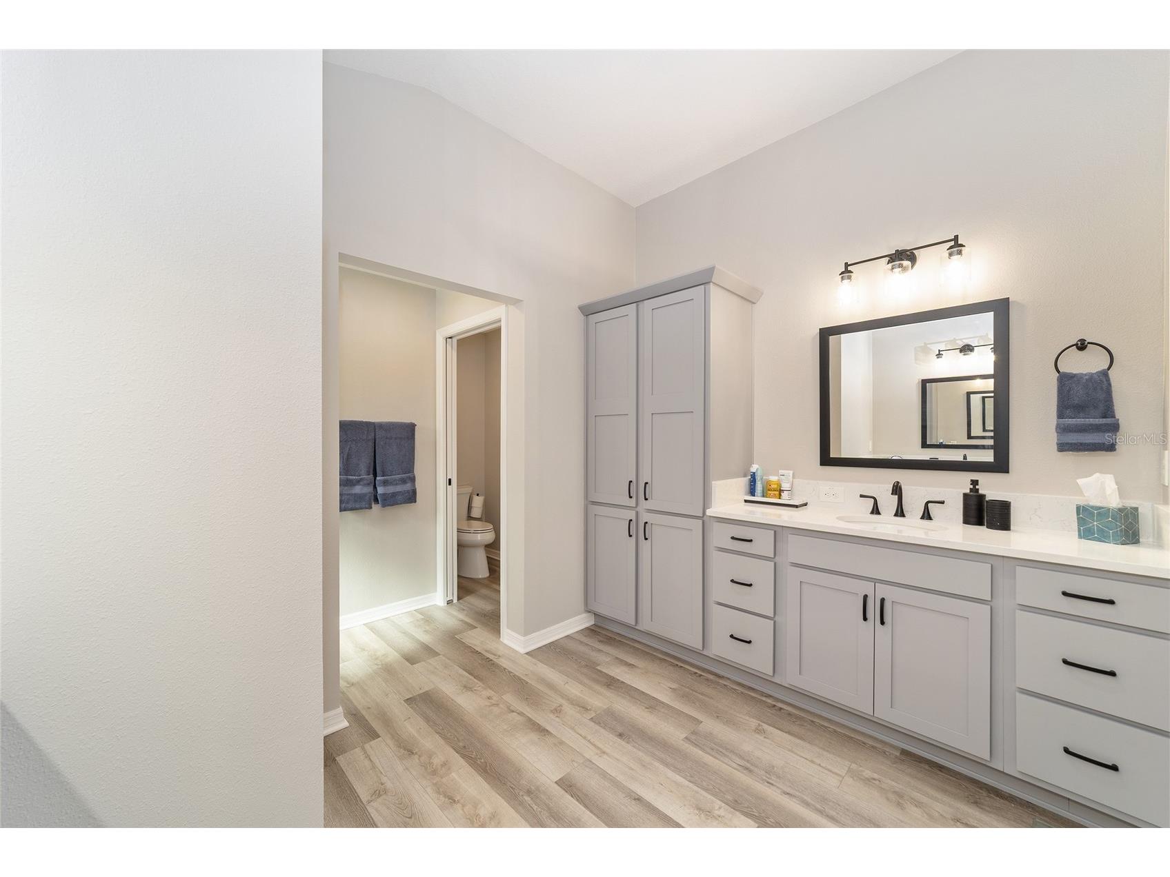 6849 Mickylee Run The Villages FL 34762 G5110622 image33