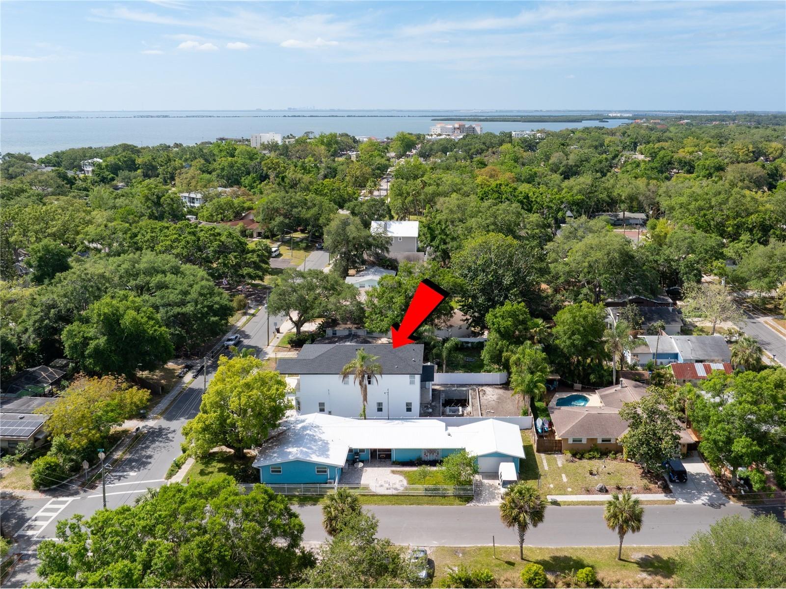 685 1st Avenue N Safety Harbor FL 34695 TB8503478 image2