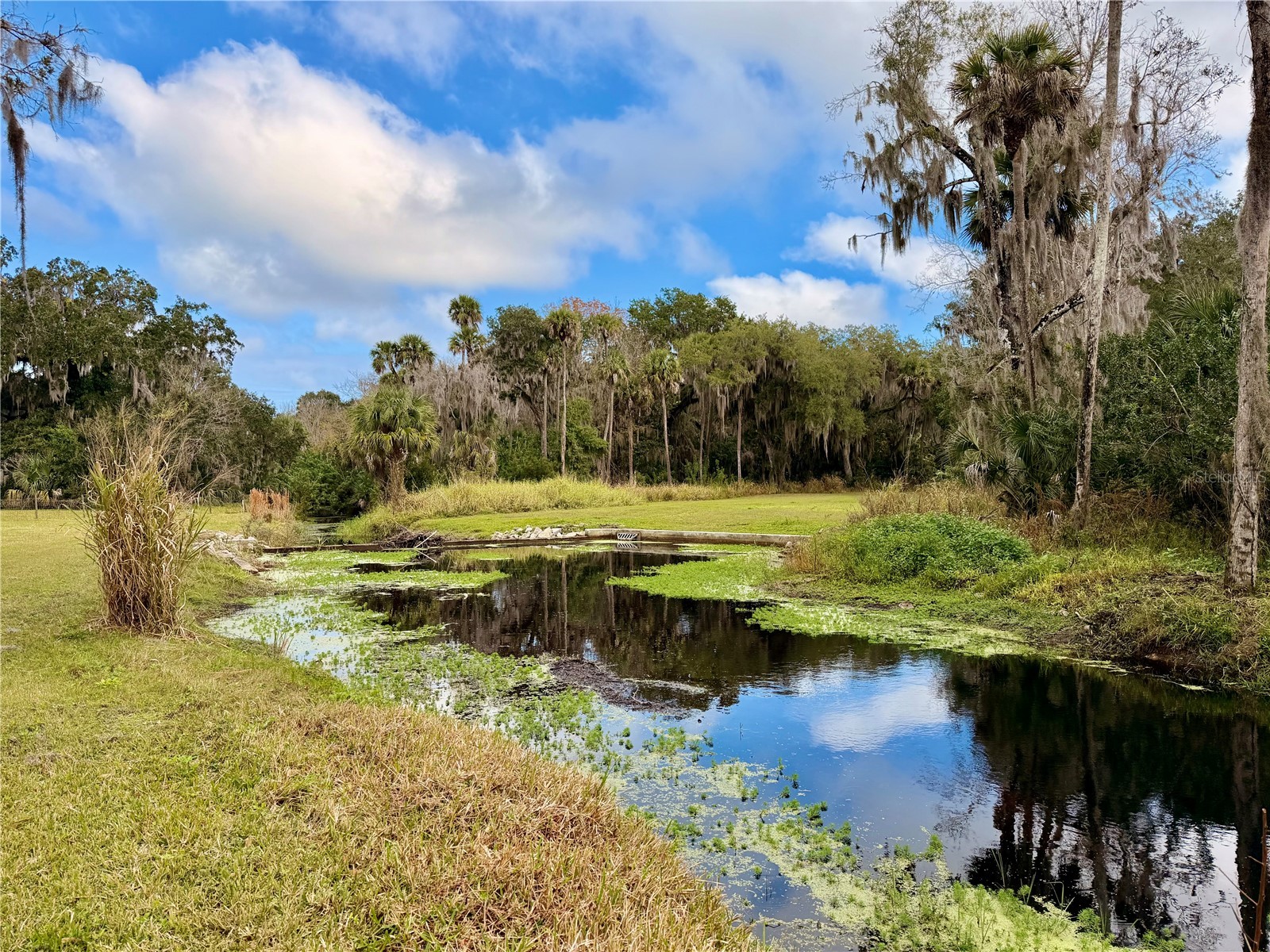 685 Eagle Watch Road Oak Hill FL 32759 - Indian Creek NS1086977 image12