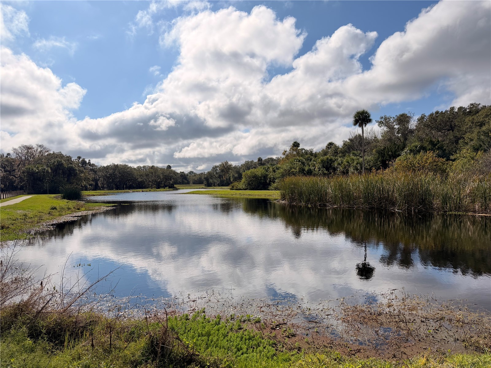 685 Eagle Watch Road Oak Hill FL 32759 - Indian Creek NS1086977 image19