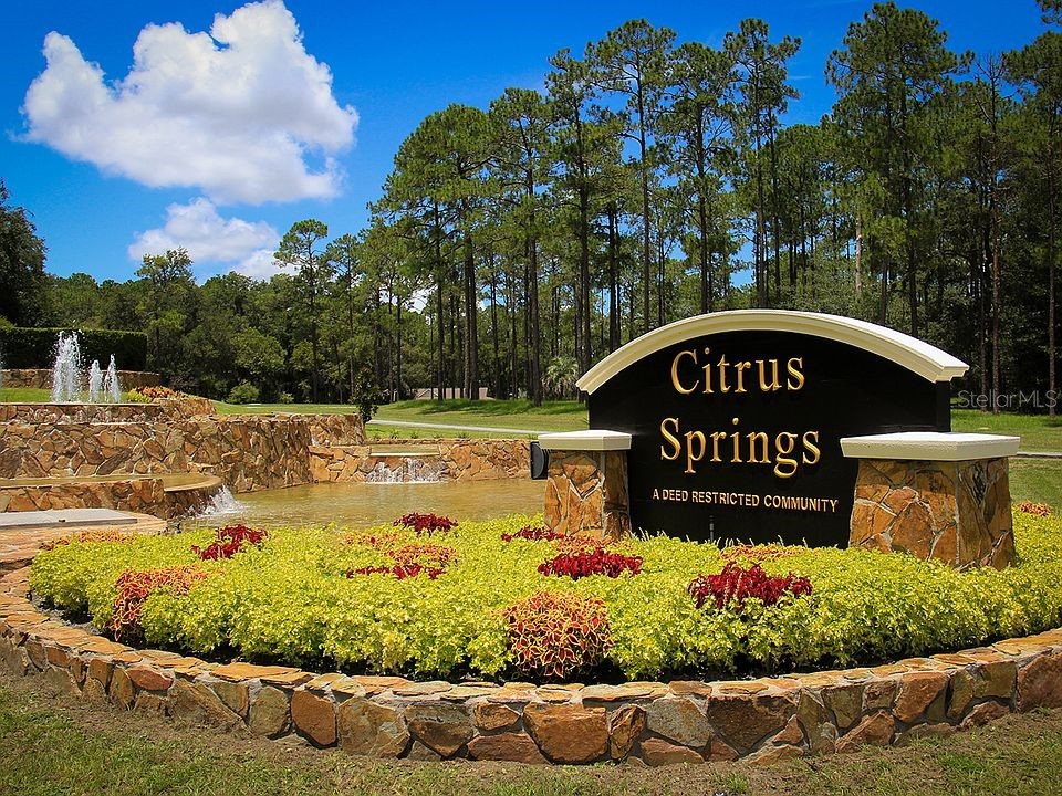 685 W Hallam Drive Dunnellon FL 34434 OM726181 image5