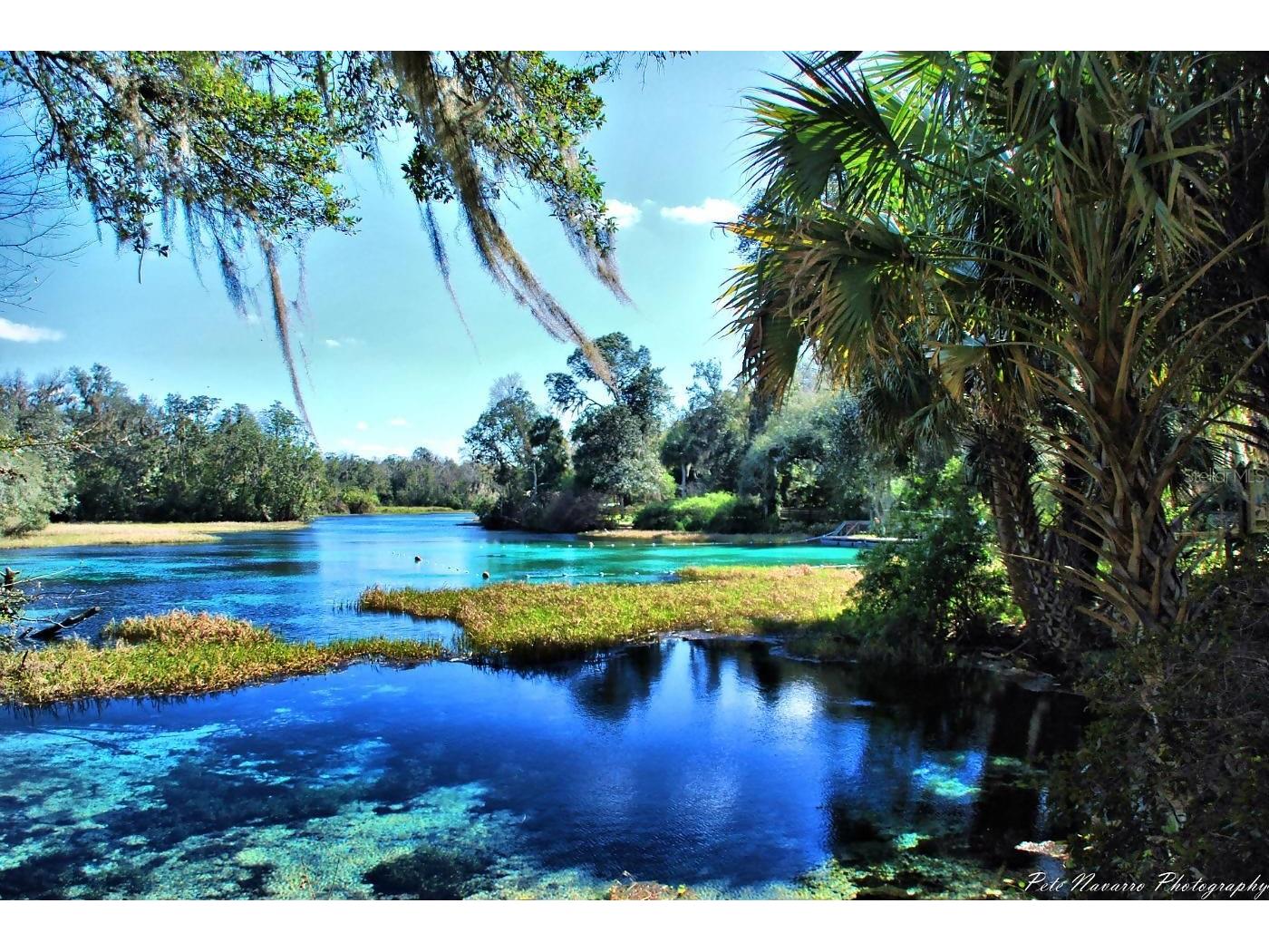 685 W Hallam Drive Dunnellon FL 34434 OM726181 image6
